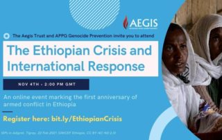 The Ethiopian Crisis and International Response
