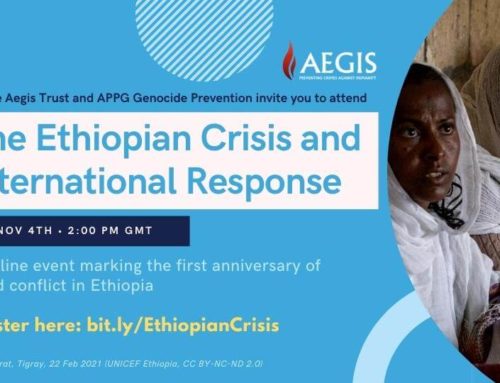 One year on: the Ethiopian Crisis and international response